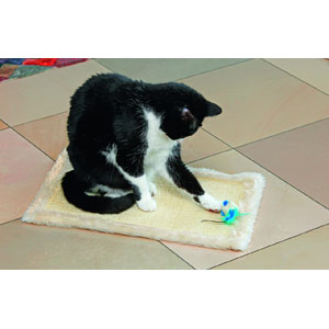 Feline Star Scratching Carpet