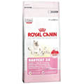 3 x Royal Canin Babycat 34 - 400g